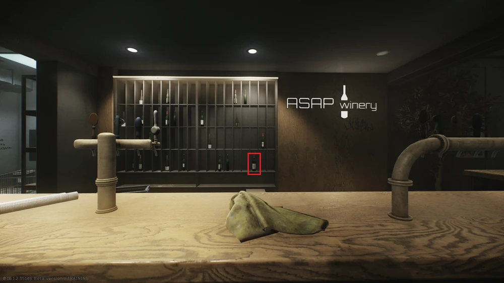Wine spawn #3 - Shelf behind the big bar counter